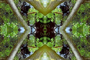 Não natural 65.3 (foto manipulada digitalmente) de Giovanni Cafagna