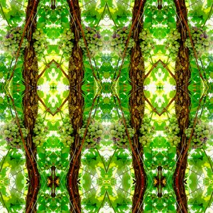 Não-natural 74 (foto manipulada digitalmente) de Giovanni Cafagna