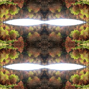 Não-natural 77.1 (foto manipulada digitalmente)