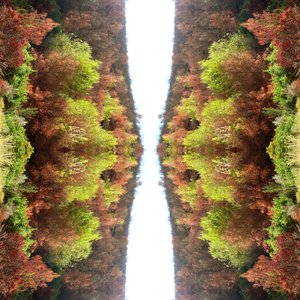 Não natural 77 (foto manipulada digitalmente)