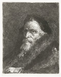 Velho com casaco de pele Coleção de cabeças (título da série) Raccolta di Teste (título da série) de Giovanni Domenico Tiepolo