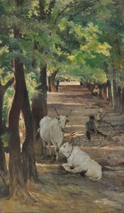 Avenida com bois e quebradores de pedra, c.1875 (óleo sobre tela) de Giovanni Fattori