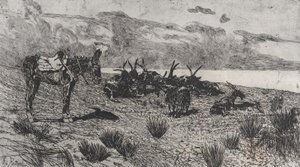 Burro e cabras à beira-mar no inverno, 1884-1908. de Giovanni Fattori