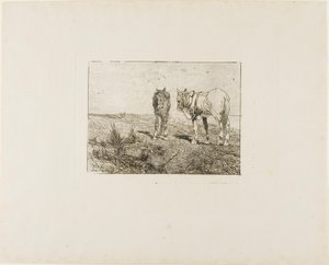Descanso dos cavalos de Giovanni Fattori