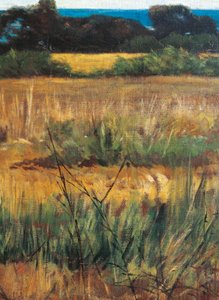 Itália, Florença, Maremma Toscana, cerca de 1894, detalhe de Giovanni Fattori
