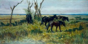 Pasto de Maremma. Cavalos a pastar, c.1872 (óleo sobre tela) de Giovanni Fattori
