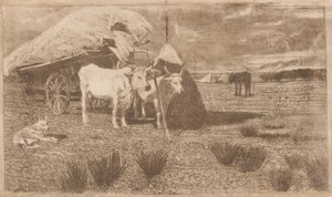 Bois atrelados a uma carroça (Maremma) (Bovi al carro (Maremma))