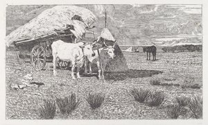 Bois atrelados a uma carroça (Maremma) de Giovanni Fattori