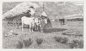 Boi atrelado à carroça (Maremma) [Bovi al carro (Maremma)] de Giovanni Fattori