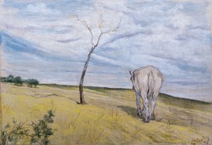White Horse, de Giovanni Fattori (1825-1908) de Giovanni Fattori