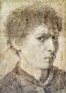 Cabeça de rapazinho, desenho de Gian Girolamo Savoldo (ca 1480-1548), lápis preto e giz branco, Itália de Giovanni Girolamo Savoldo