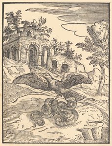 Pássaro e cobra, 1570. de Giovanni Maria Verdizotti