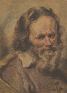 Cabeça de um homem barbudo, 1600-1630.