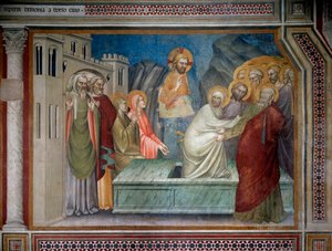 A criação de Lázaro (Fresco