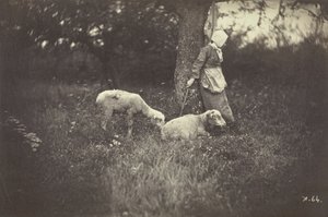 Pastora encostada em uma árvore, com duas ovelhas, 1870.