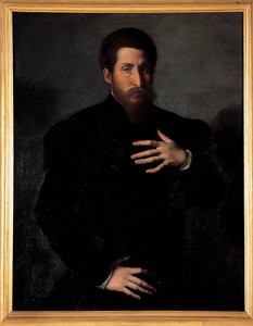 Retrato de um homem viril de Girolamo da Carpi