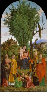 Madona e Menino com Santos de Girolamo dai Libri