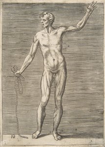 Homem visto de frente, segurando uma corda na mão direita, século XVI. de Giulio Bonasone