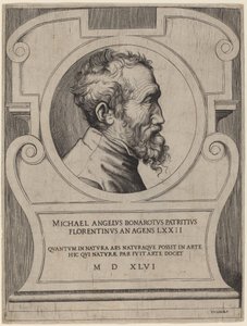 Michelangelo de Giulio Bonasone