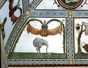 A câmera com Fregio di Amorini Câmara do Friso de Cupido detalhe de um avestruz, afresco de 1520 de Giulio Romano