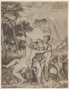 Vênus e Adônis