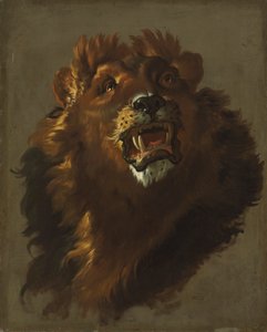 Leão, década de 1750.
