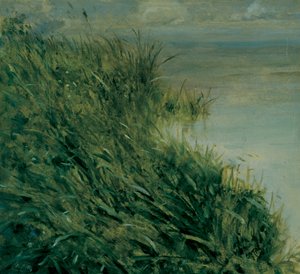 Estudo do pântano de Giuseppe or Joseph de Nittis