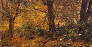 Estudo da madeira de Giuseppe or Joseph de Nittis