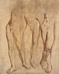 Três estudos de um nu masculino, c. 1923-24 (óleo sobre tela) de Glyn Warren Philpot