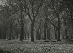 Árvores de outono no Hyde Park, Londres