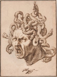 Chefe da Medusa