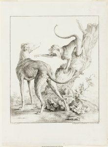 cachorro e macaco