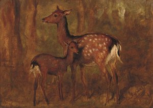 Veado japonês em Talliallan (óleo sobre papel colocado a bordo) de Gourlay Steell
