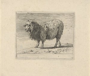 Ram
Diversos dieren (título da série) de Govert van der Leeuw