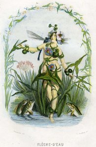 Ilustração para "Les Fleurs Animees".
