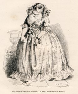 Coruja que pensava que era superior, mas é apenas ridículo. Vinhetas ilustradas por JJ Granville. Gravura Rouget assinada na parte intitulada "Souvenirs d