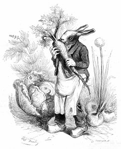 Gravura de Grandville, do livro "Vida privada e pública dos animais (Les animaux pintés par eux memes)", edição Hetzel 1867. Coelho jardineiro com cascos a triturar uma cenoura na sua horta ou a cultivar legumes (cebolas e couves).