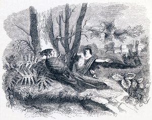 Philomele & Progne - Fábulas de La Fontaine de Grandville