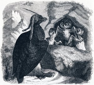 The Eagle and the Owl, ilustração de 