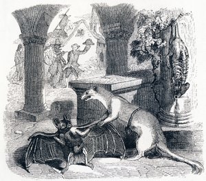 O taco e as duas doninhas (la chauve-souris et les deux belettes) - Fábulas de La Fontaine de Grandville