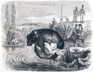 O cão que abandona a sua presa pela sombra (le chien qui abandonne sa proie pour son ombre) - Fábulas de La Fontaine de Grandville