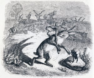 As orelhas da lebre - Fábulas de La Fontaine de Grandville