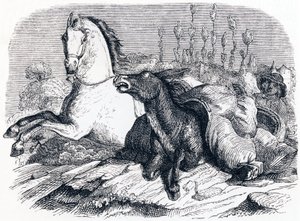 O cavalo e o burro - Fábulas de La Fontaine de Grandville