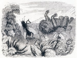 O leão e o meio - Fábulas de La Fontaine de Grandville
