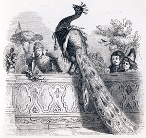 O pavão reclamando a Junon (Le paon se plaignant a Junon) - Fábulas de La Fontaine de Grandville