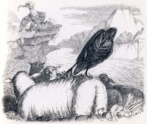 O corvo que quer imitar a águia (le corbeau voulant imiter l