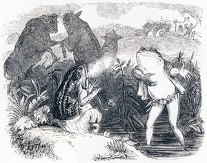 Os dois touros e um sapo - Fábulas de La Fontaine de Grandville