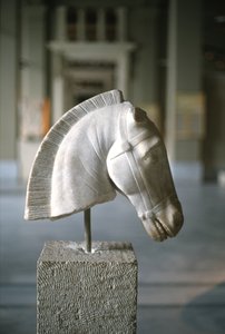 Cabeça de cavalo (mármore)