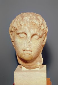 Chefe de um dos Diadochi ou chefe de Alexandre III (356-323 aC), o Grande (mármore)