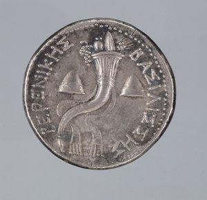 Didrachma de prata de Berenice II (prata) (ver também 293751) de Greek